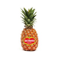Piña del Monte 2.400 kg